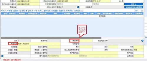 原來，報關可以這樣做 國內貿易代理的智慧之道